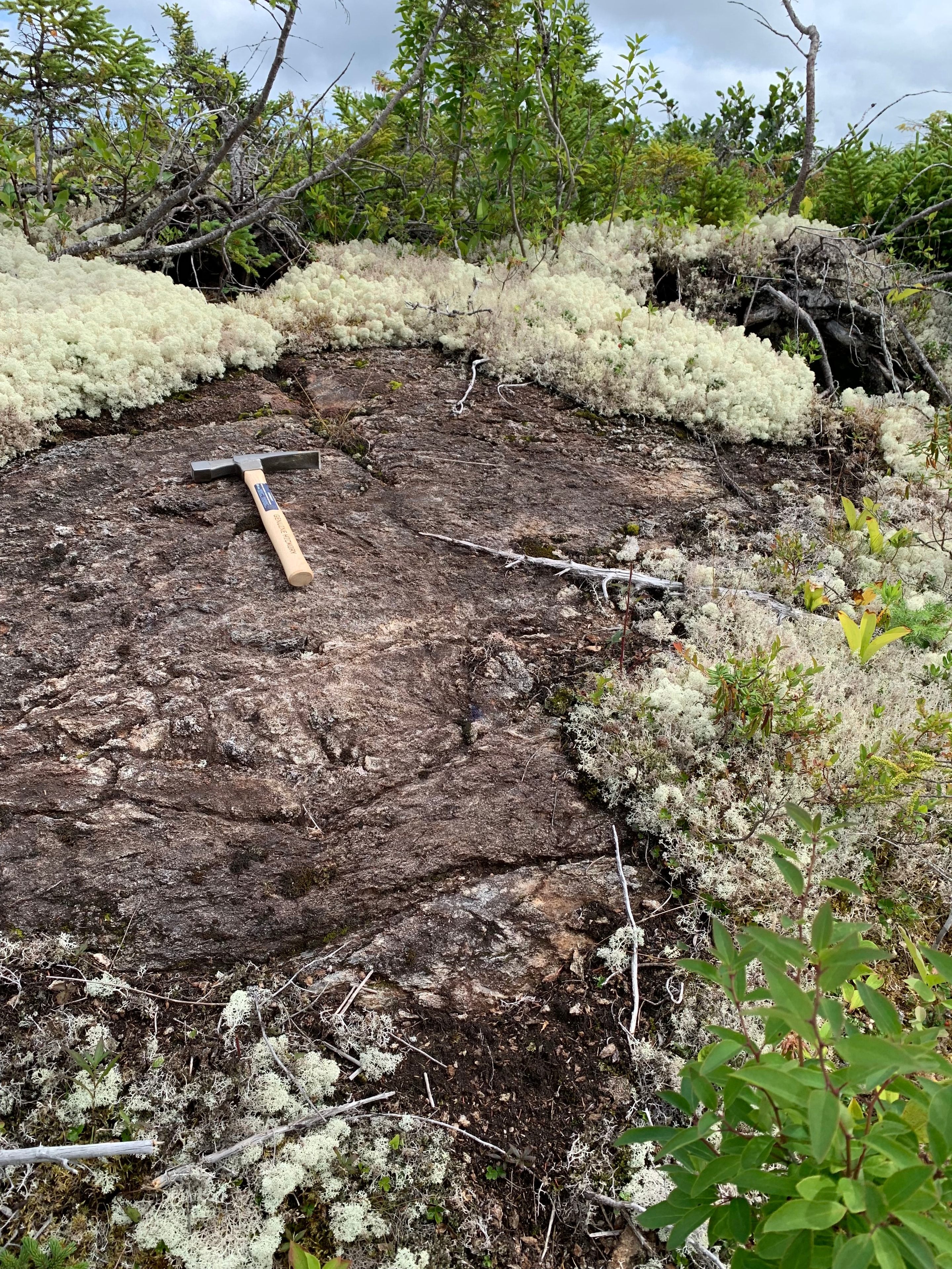 Geologist examining mineral core samples in the field